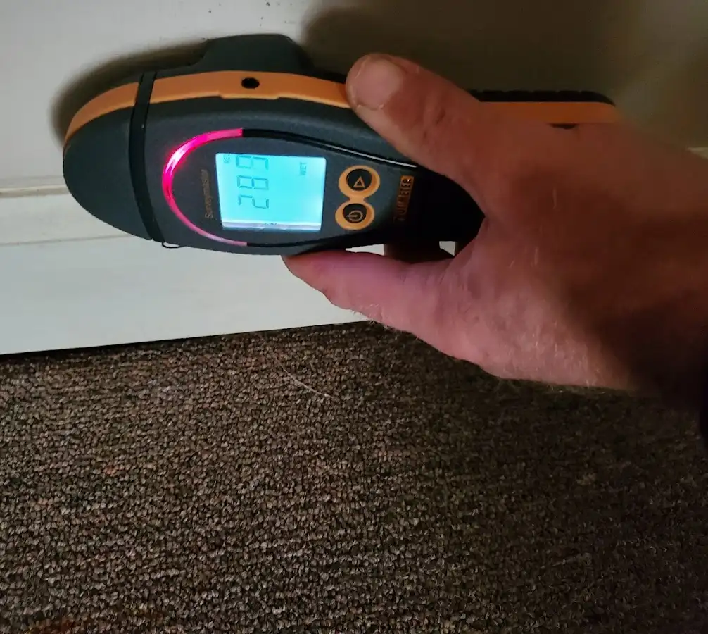 Moisture detection at baseboard during Sewage Cleanup & Sanitation in New Braunfels